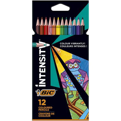 Lápis de cor Intensity triangulares de mina suave – BIC