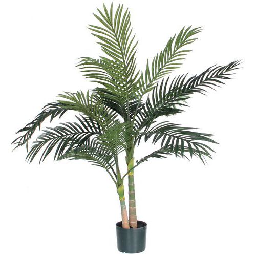 Palmeira Areca Golden Cane 120 cm – Vepabins