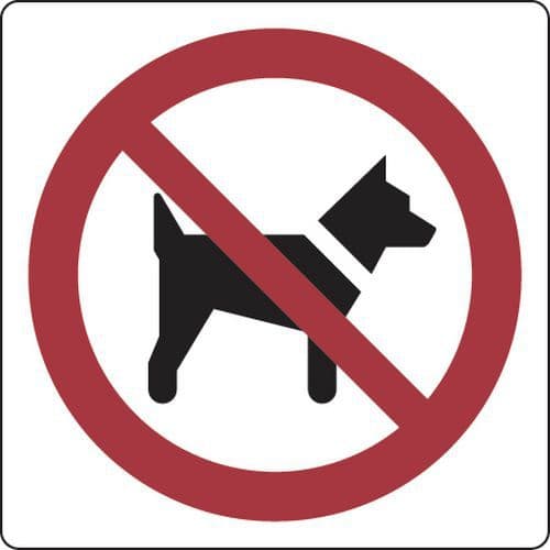 Painel de proibição – Proibida a entrada de cães – alumínio